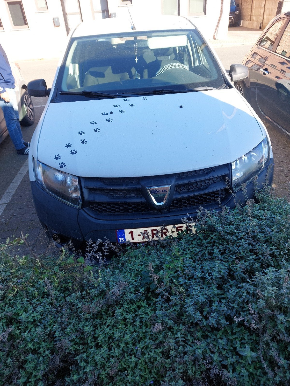 dacia sandero, Achat, 5 portes, Particulier, Sandero