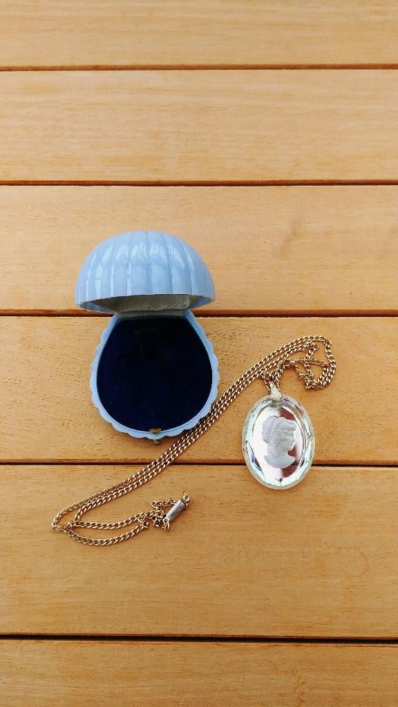 Collier pour femme/neuf/20€, Bijoux, Sacs & Beauté, Colliers, Neuf, Synthétique, Autres couleurs, Avec pendentif, Enlèvement