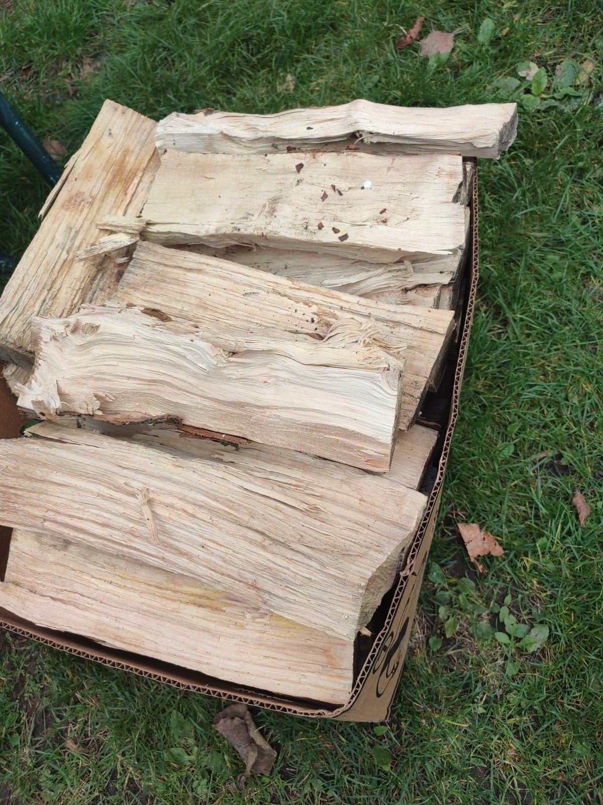 Brandhout eik, beuk , acacia, Doe-het-zelf en Bouw, Ophalen