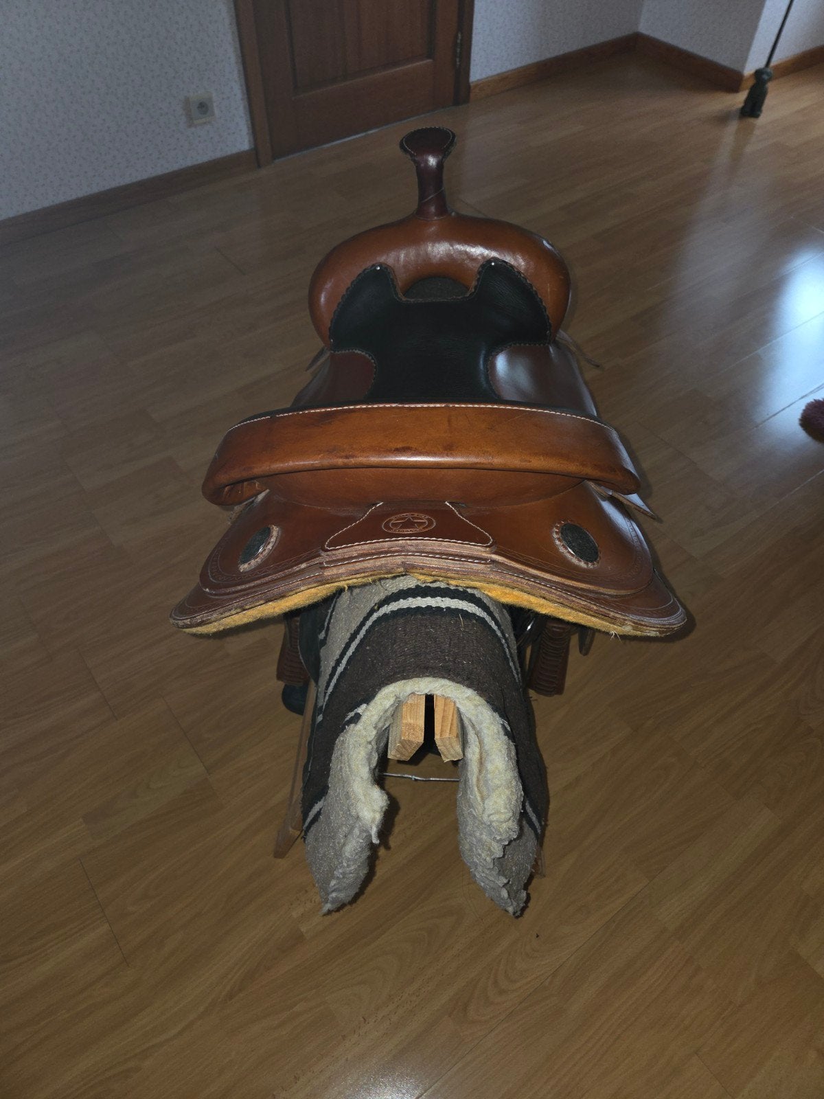 WESTERNZADEL, Animaux & Accessoires, M