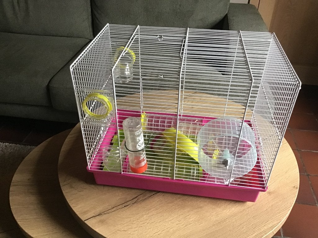 Hamsterkooi, Dieren en Toebehoren, Kooi, Gebruikt, Ophalen, Minder dan 60 cm