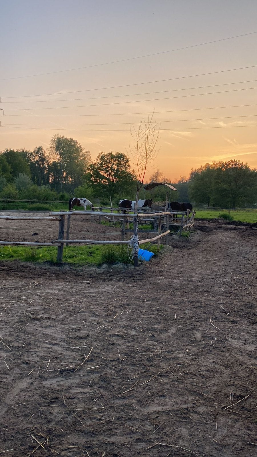 Paddock Paradise – Zandhoven – Aan huis