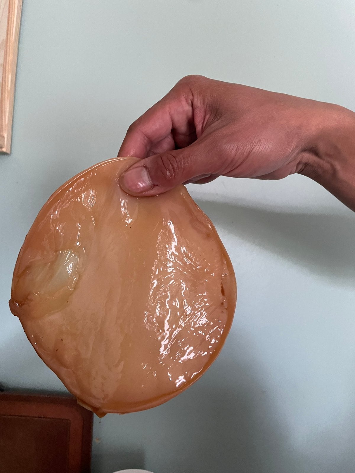 kombucha scoby, Enlèvement, Comme neuf