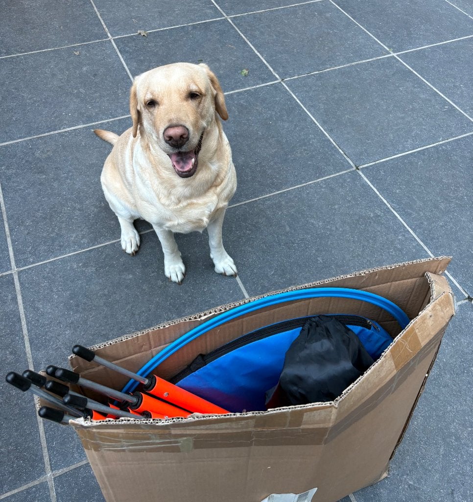 Agility set voor honden, Dieren en Toebehoren, Ophalen, Zo goed als nieuw, Hondenspeelgoed