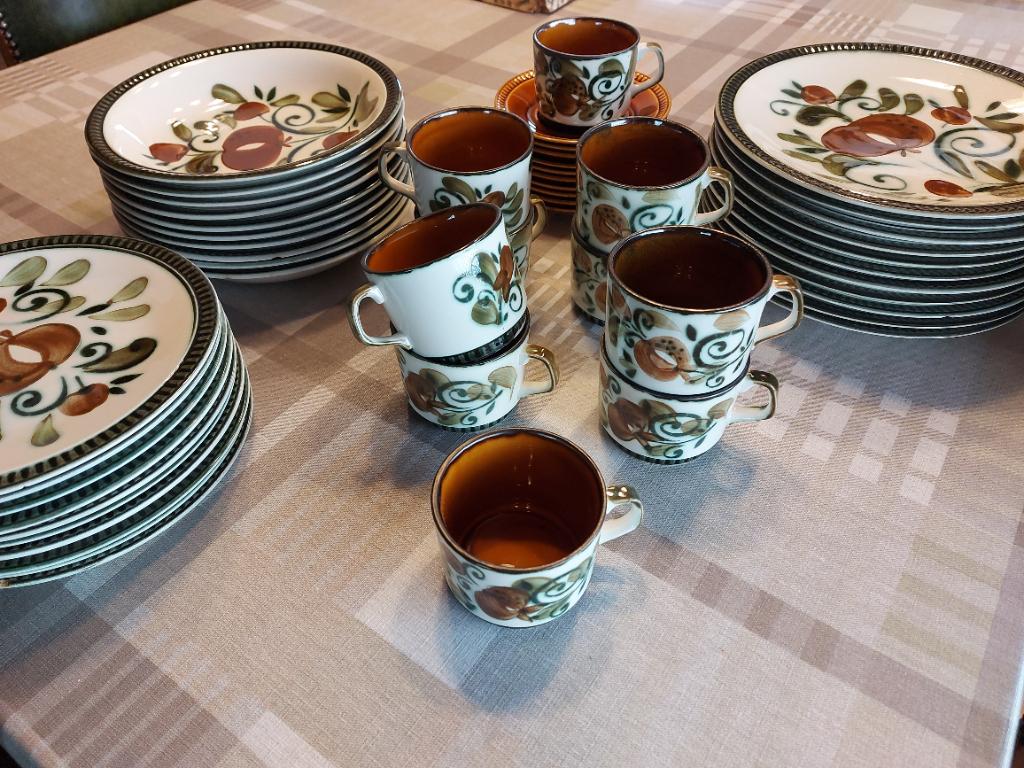 Bosch vintage servies ´60, Ophalen