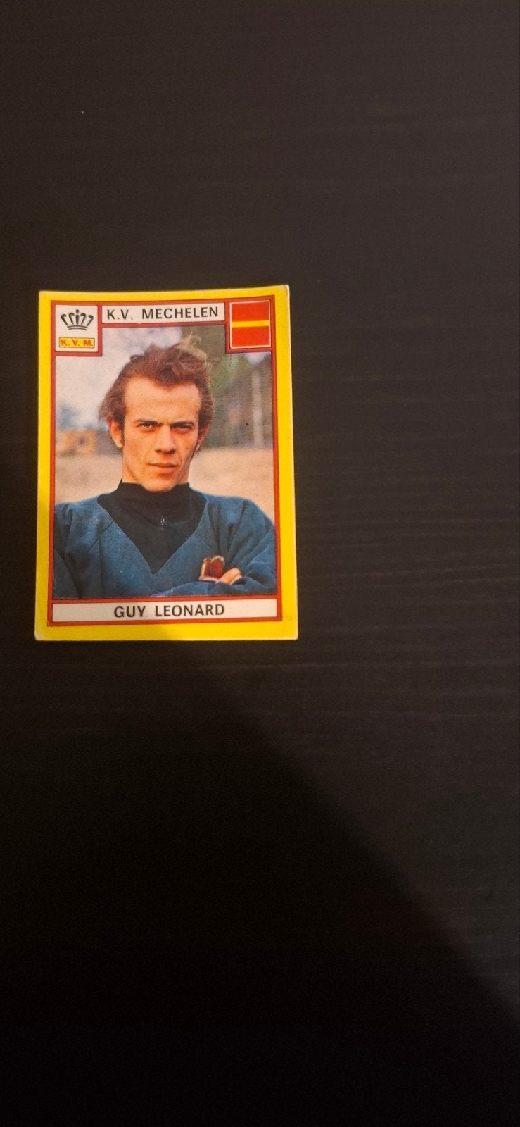 Panini voetbal 1975, Ophalen of Verzenden