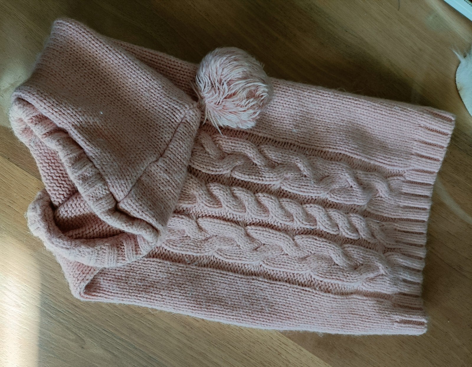 Pull pour chien, Animaux & Accessoires, Enlèvement, Utilisé, Pull pour chien, S