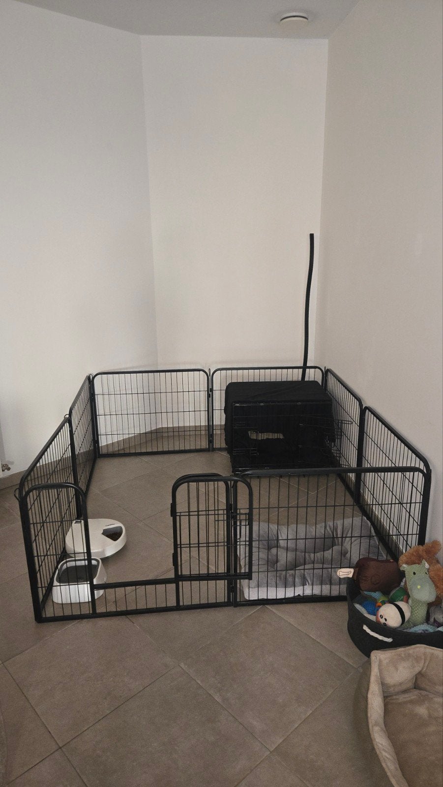 Puppy ren te koop ZONDER het geen wat erin staat, Dieren en Toebehoren, Ophalen, Minder dan 65 cm, Hondenhok, Zo goed als nieuw