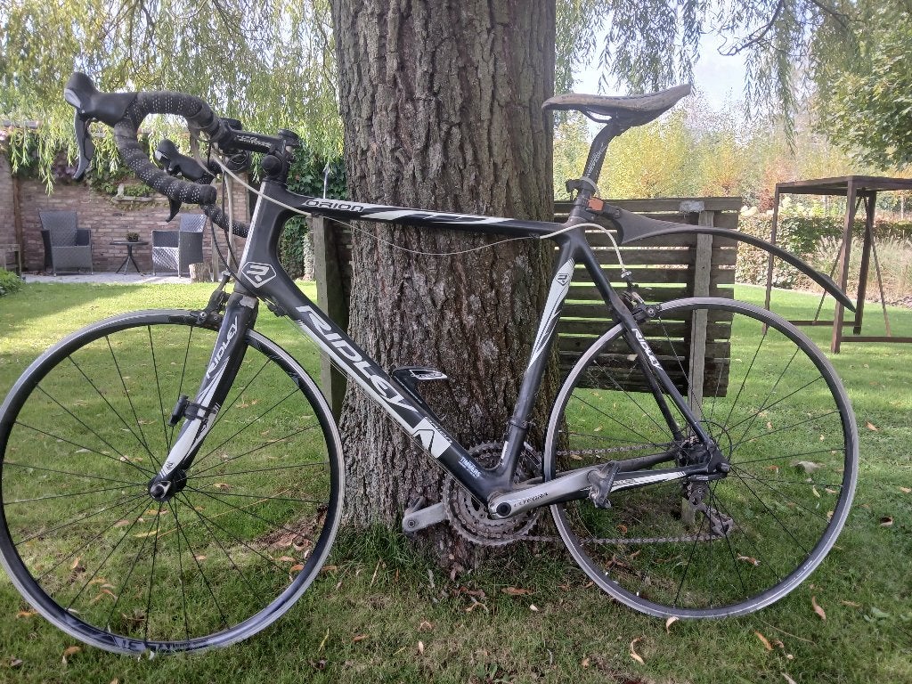 Ridley orion, Gebruikt, Velgrem, Overige maten, 53 tot 57 cm