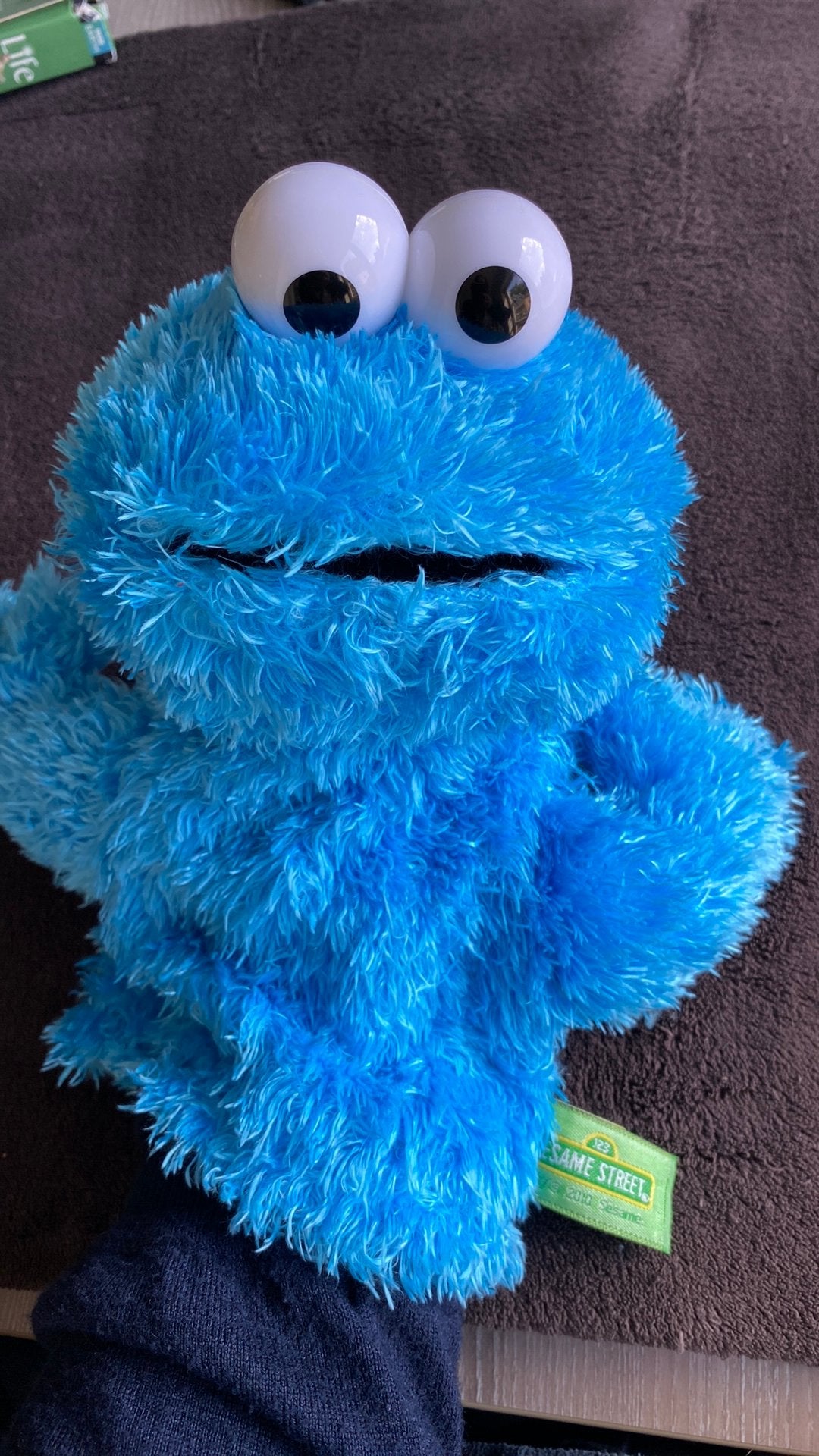 Cookie monster Sesame Street, Ophalen of Verzenden, Nieuw