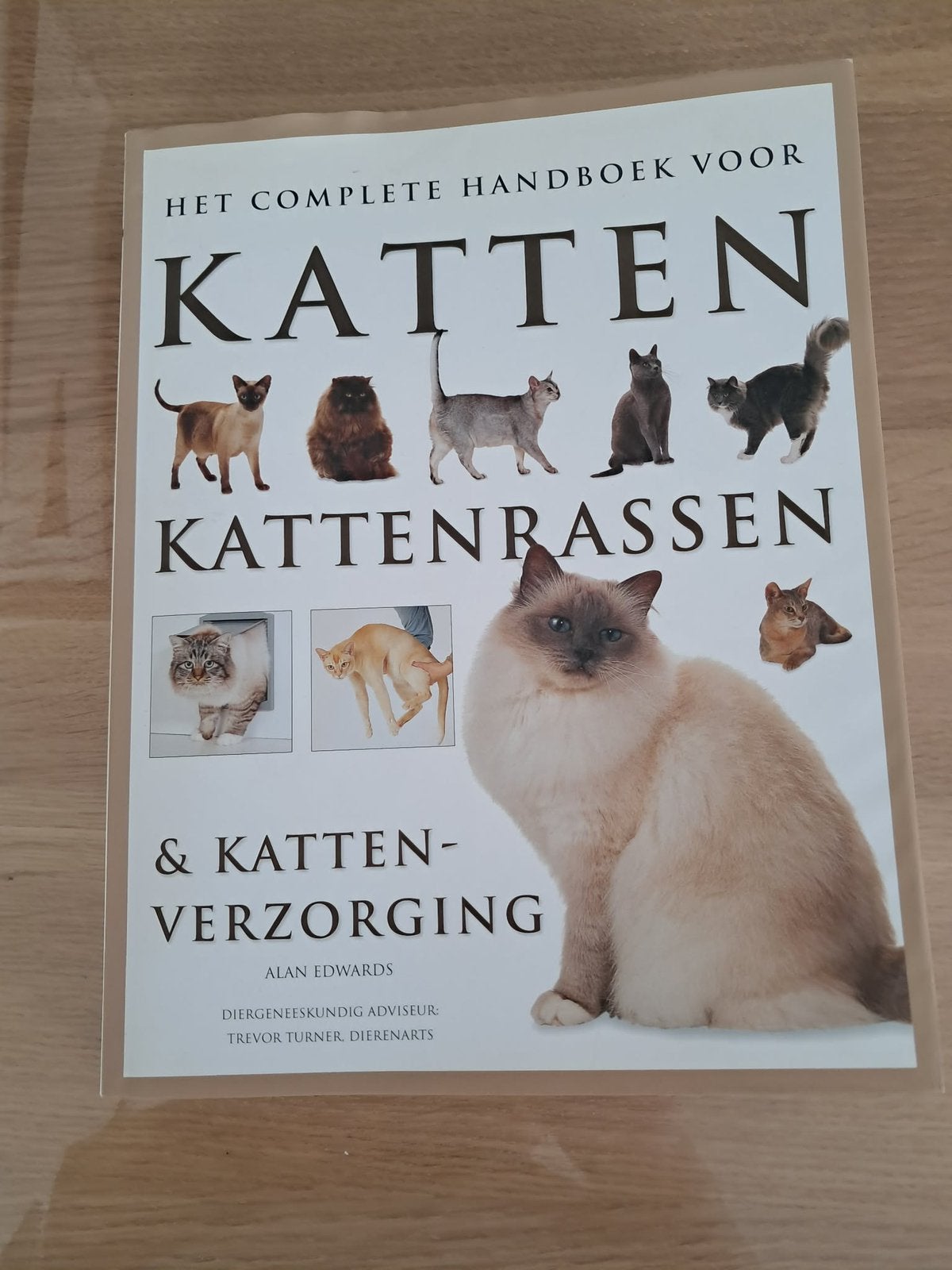Boek over katten, Ophalen, Zo goed als nieuw, Katten