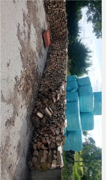 Bois dur, 6 m³ ou plus, Enlèvement ou Envoi, Hêtre, Bûches