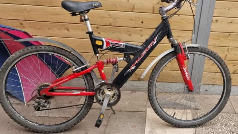 Mountainbike Raleigh, Fietsen en Brommers, Gebruikt, Ophalen, Overige merken, Velgrem