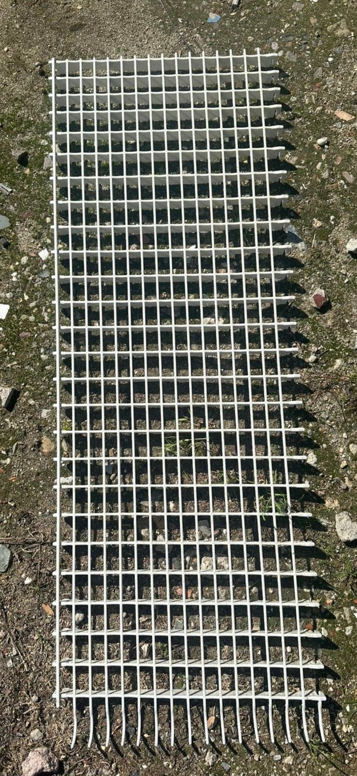 Ruim 100m2 kunsstof roosters paddock, Pâturage, 4 chevaux ou poneys ou plus
