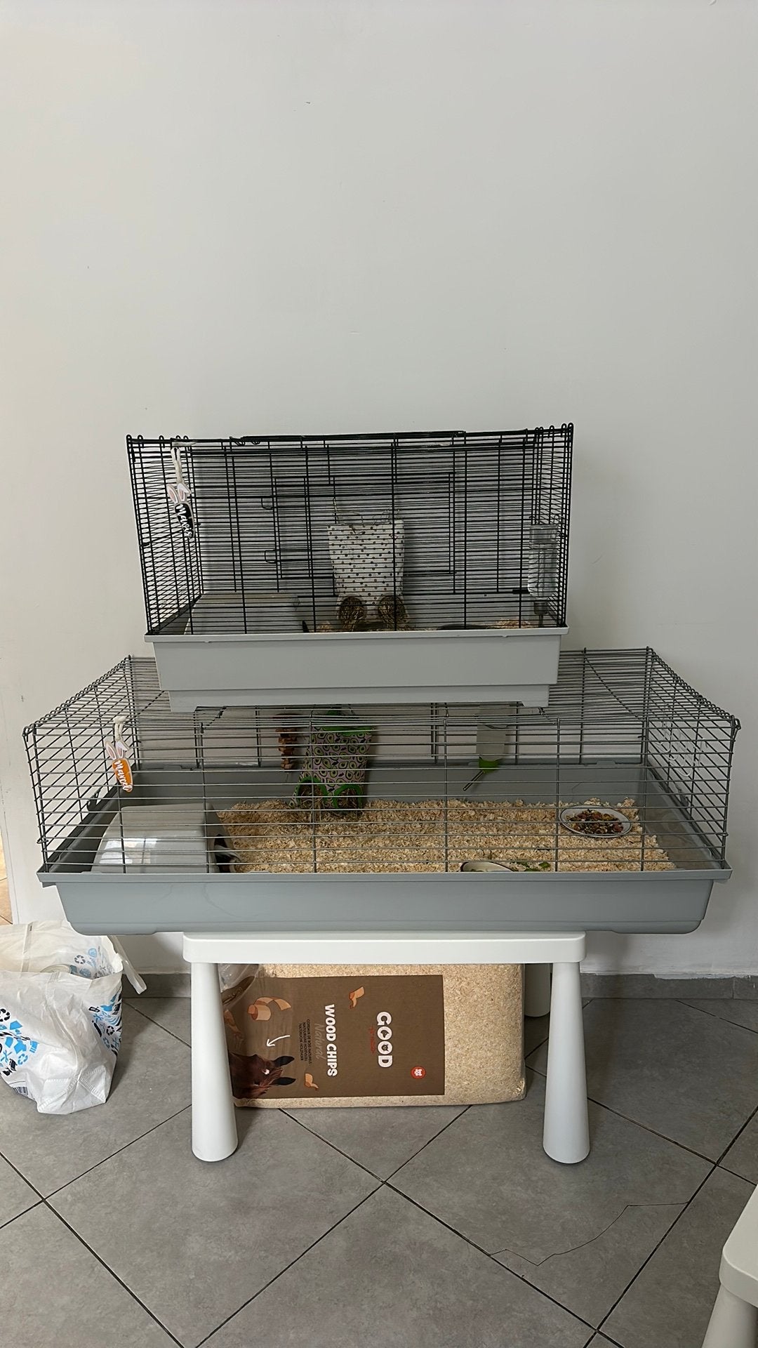 Cavia's, Ophalen