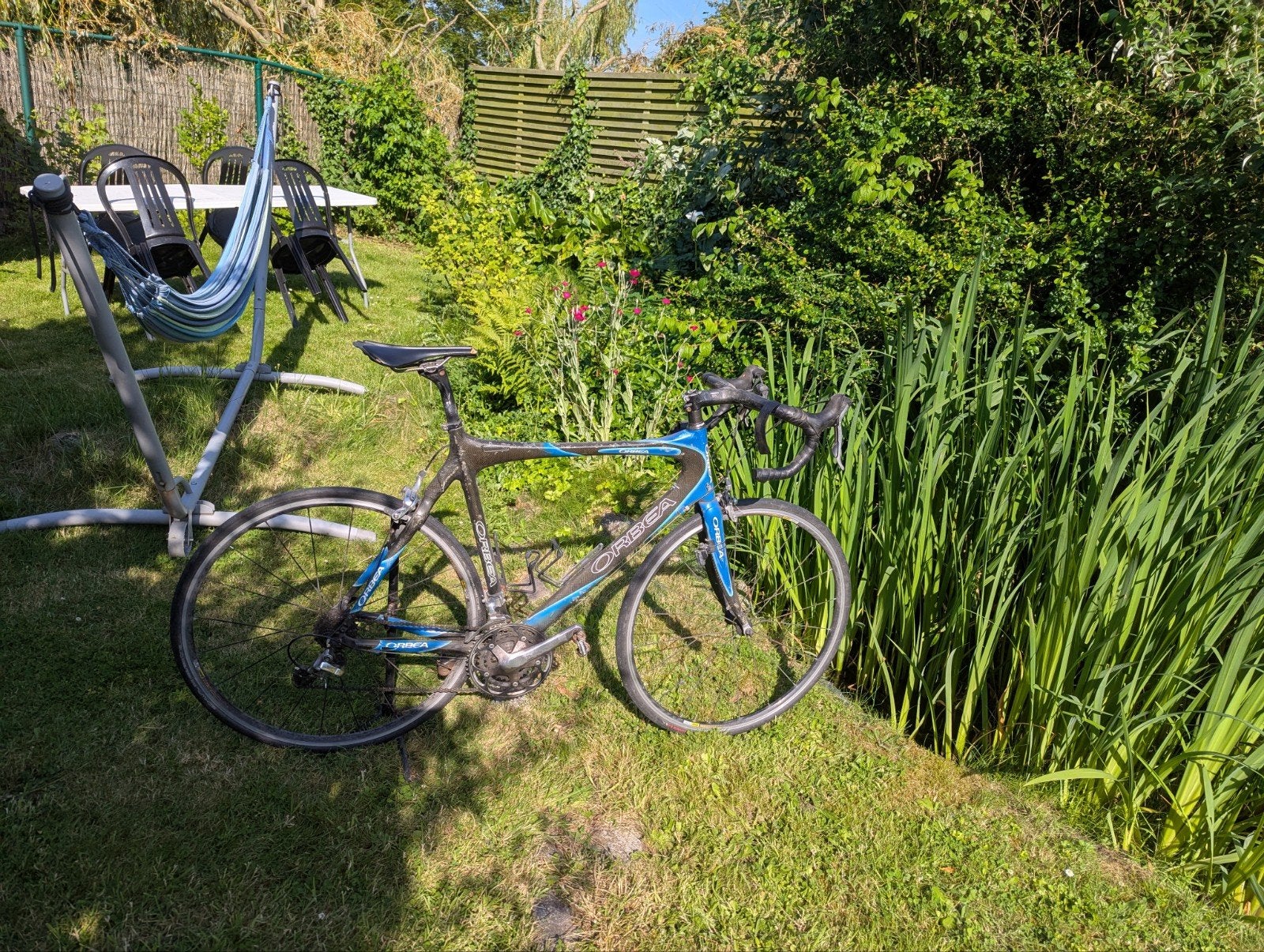 Orbea full carbon, Ophalen, Carbon
