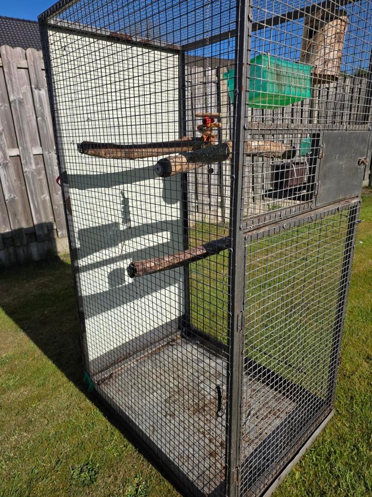 Papegaai kooi of volière, Dieren en Toebehoren, Papegaai