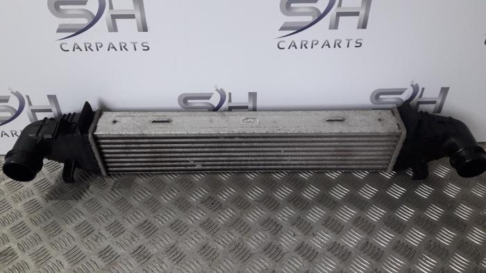 Intercooler d'un Mercedes E-Klasse, 3 mois de garantie, Utilisé, -, -