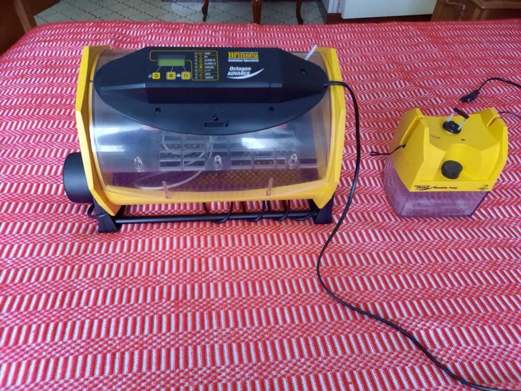 Couveuse automatique, Ophalen, Zo goed als nieuw