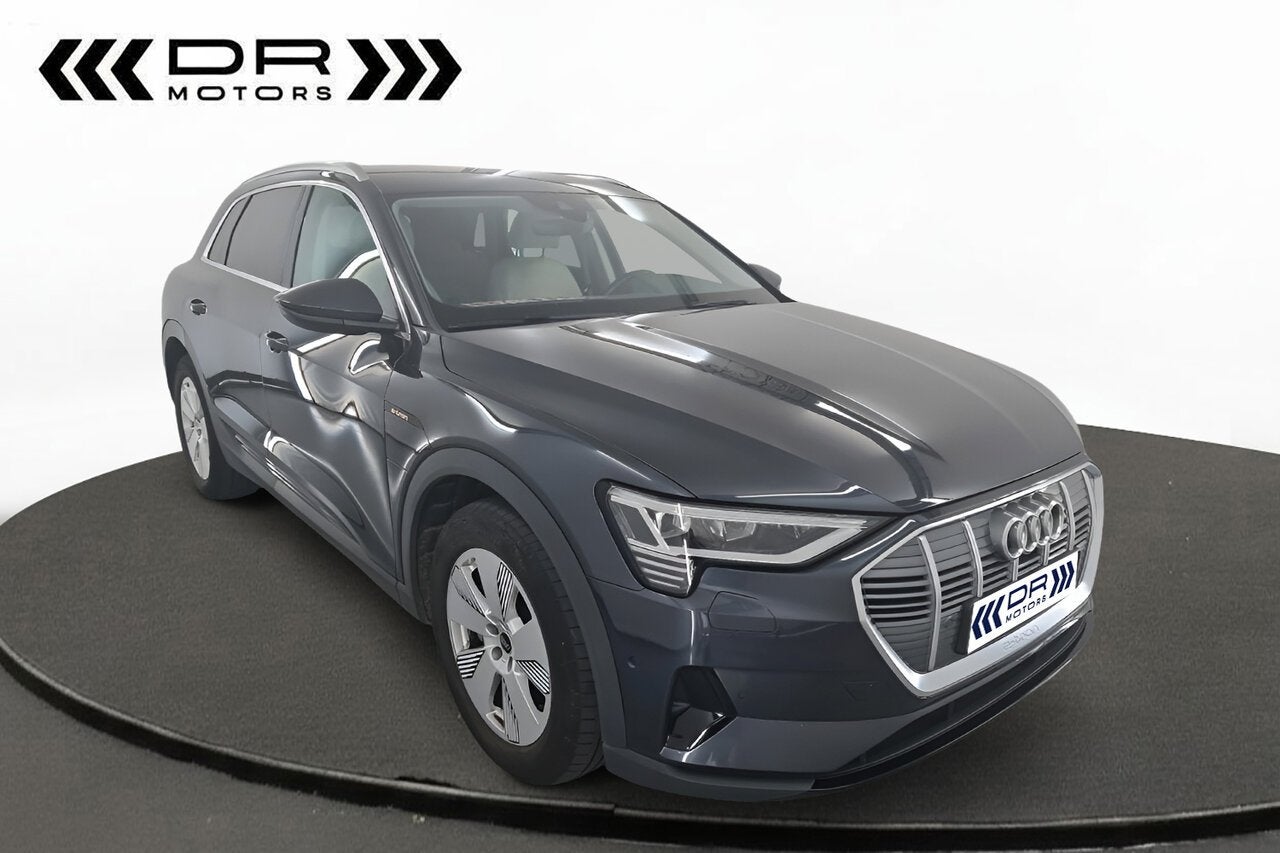 Audi e-tron 55 Quattro Attractive - LEDER, Autos, 0 kg, Argent ou Gris, 408 ch, Beige