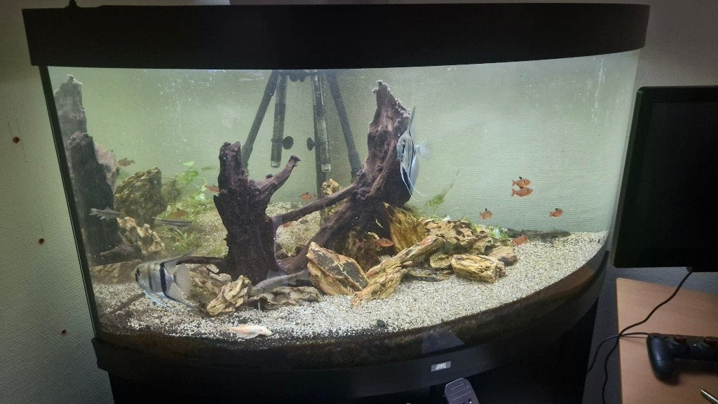Aquarium, Ophalen, Gebruikt, Gevuld zoetwateraquarium, Juwel