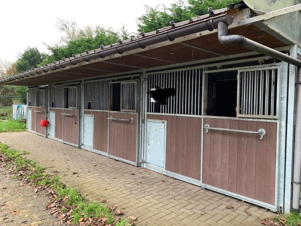 2 boxs pour chevaux a louer dans une écurie privée, 2 ou 3 chevaux ou poneys