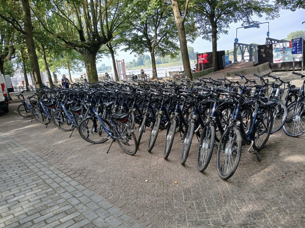 Electrische fietsen, Fietsen en Brommers, Fietsen | Heren | Herenfietsen, Ophalen