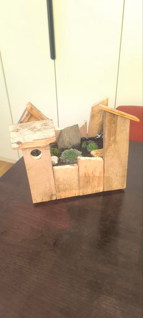 Houten plantenbakje met succulenten / vetplantjes, Tuin en Terras, Ophalen