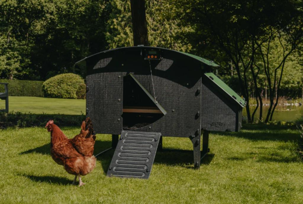 Nestera kippenhok op pootjes Large EINDEJAAR - 10 %, Ophalen of Verzenden, Nieuw, Kippenhok of Kippenren