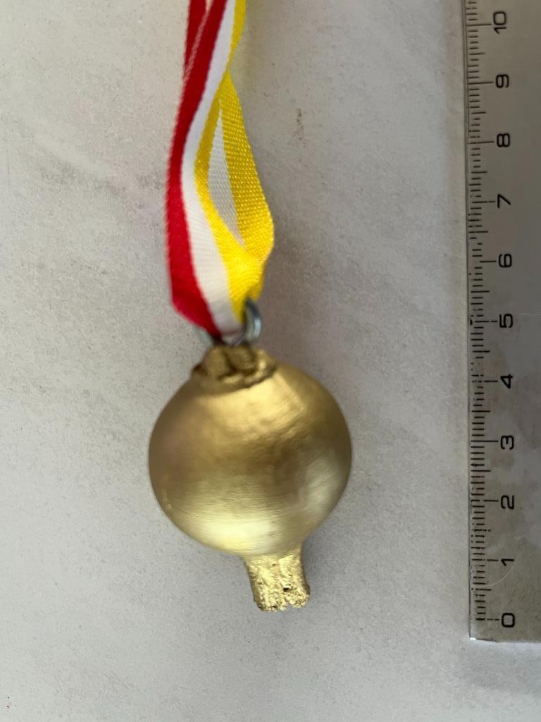 Aalst Oilsjt Carnaval gouden ajuintje 1, Ophalen