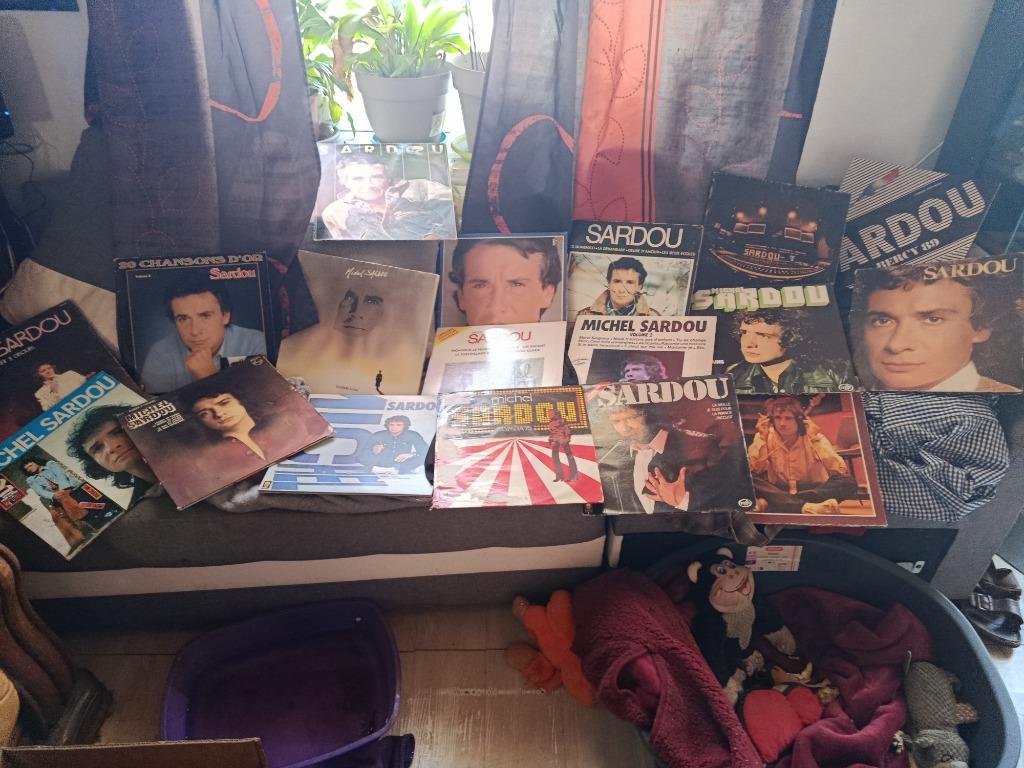 Lot de vinyles 33 tours de Michel Sardou, Enlèvement, Utilisé