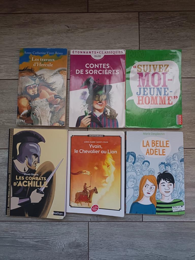 Livres collège - Mortelle Adele et autres, Boeken, Studieboeken en Cursussen, Zo goed als nieuw, Ophalen