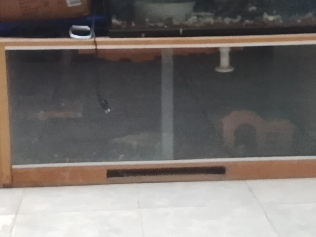 Slang Terrarium?een van 124 lang 54 hoog 51 breed en twee va, Ophalen of Verzenden