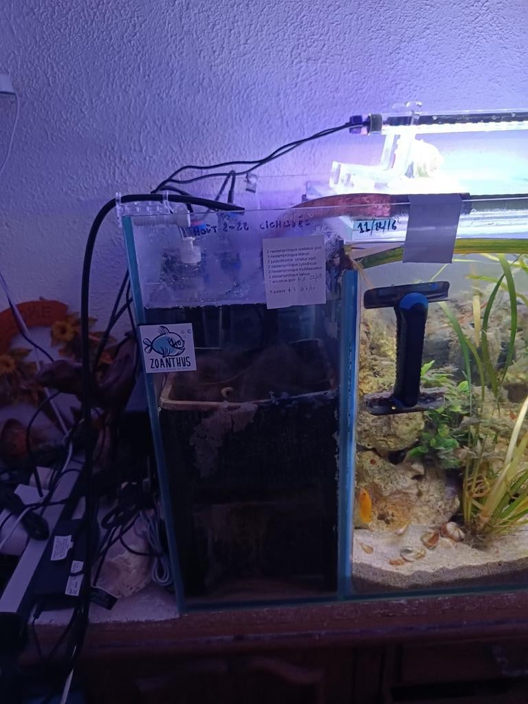 Aquarium de 200L , avec filtre à débordement, Enlèvement ou Envoi, Comme neuf