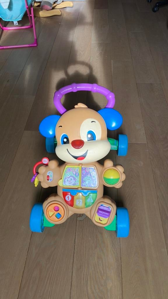 Fisher - Price loop met mij mee puppy, Kinderen en Baby's, Ophalen, Zo goed als nieuw