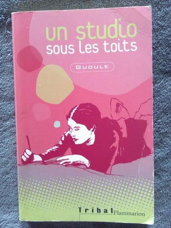 "Un studio sous les toits" Gudule (2005), Livres, Enlèvement ou Envoi, Fiction, Utilisé, Gudule
