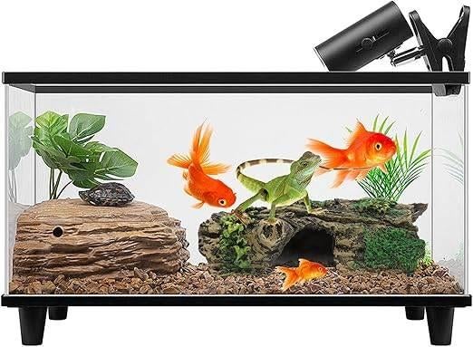 Décoration d'aquarium | terrarium | LIVRAISON GRATUITE, Neuf, -, -, Autres types