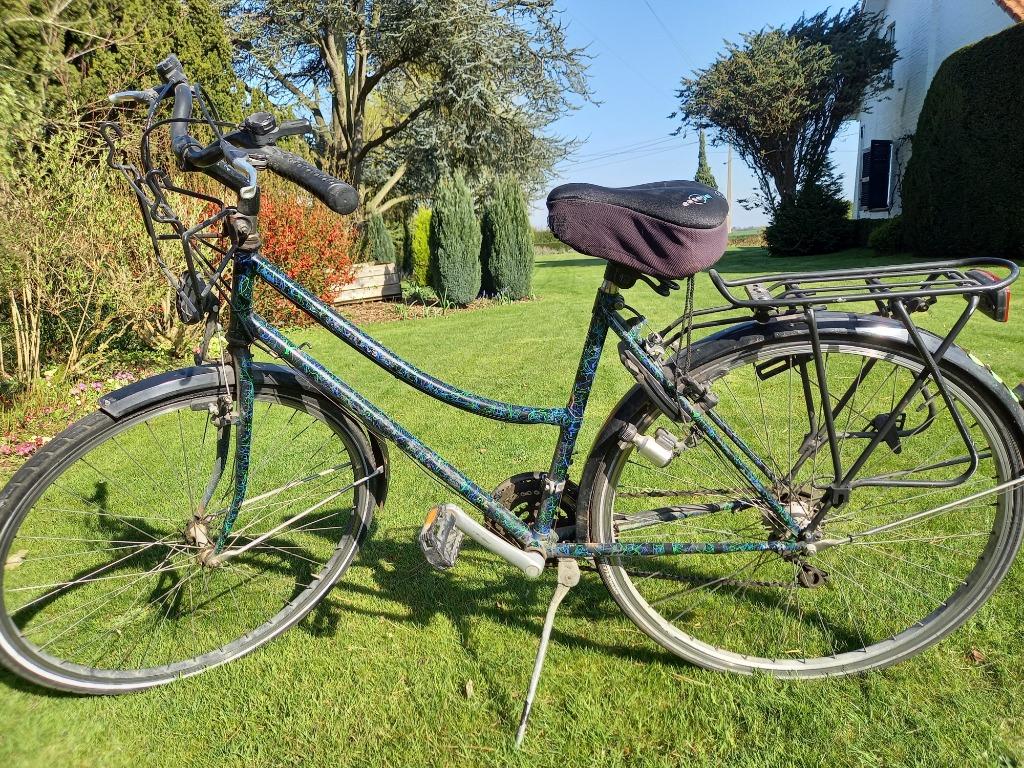 Vélo femme, Accès (extra) bas, Autres marques, Enlèvement ou Envoi, Utilisé