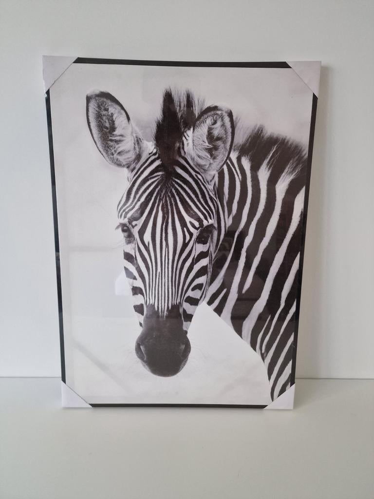 Canvas Zebra, Huis en Inrichting, Ophalen, Nieuw