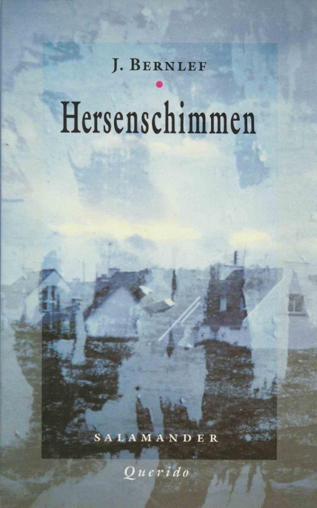 J.Bernlef - Hersenschimmen, Boeken, Ophalen of Verzenden, Zo goed als nieuw, J.Bernlef