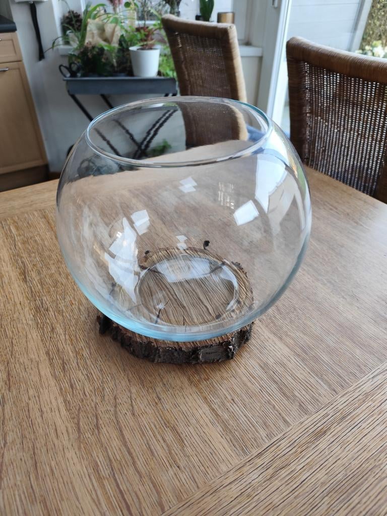 Bocal en verre pour poissons rouges, Enlèvement, Comme neuf