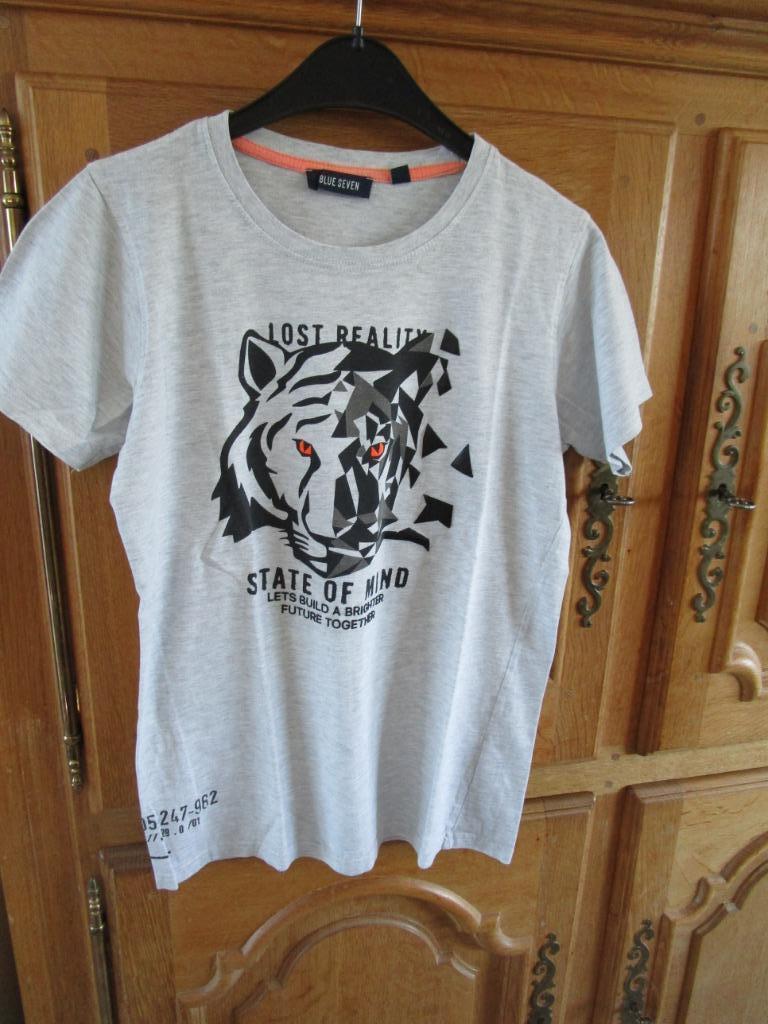 T-shirt taille 14 ans, Garçon, Enlèvement ou Envoi, Chemise ou À manches longues, Comme neuf