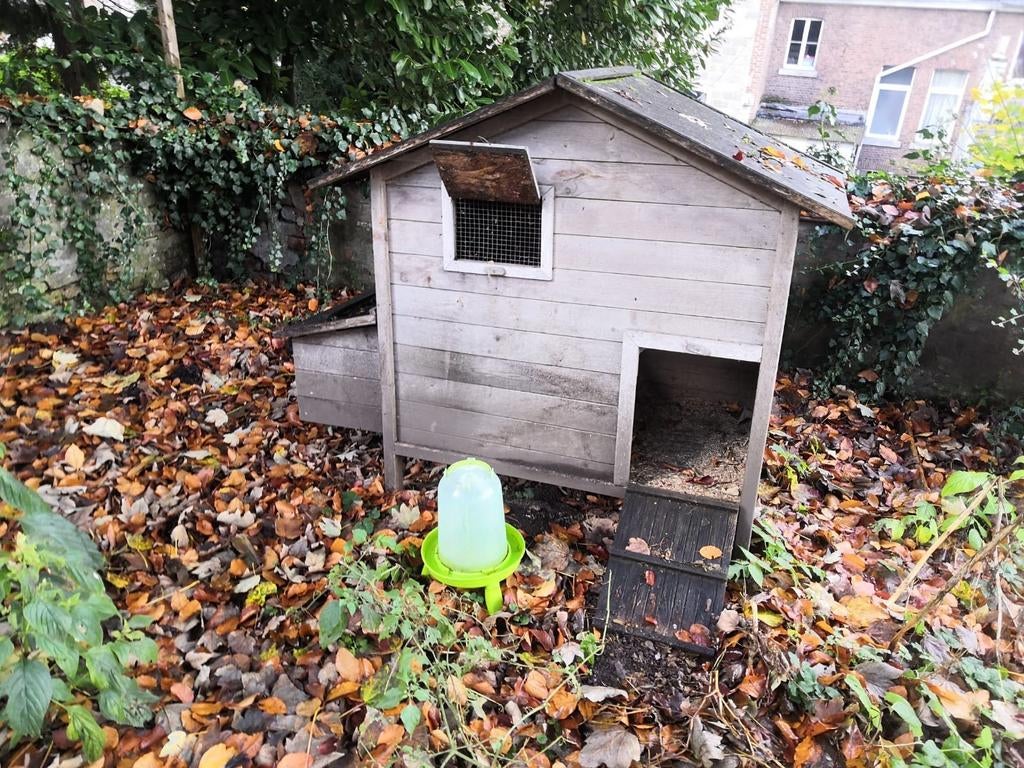 Poulailler et distributeur d'eau, Enlèvement, Comme neuf, Poulailler