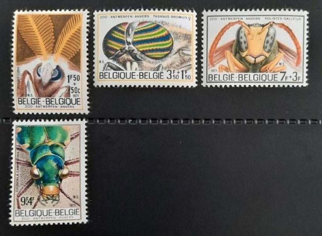 Belgique : COB 1610/13 ** Solidarité 1971, Sans timbre, Neuf, Enlèvement ou Envoi, Non oblitéré