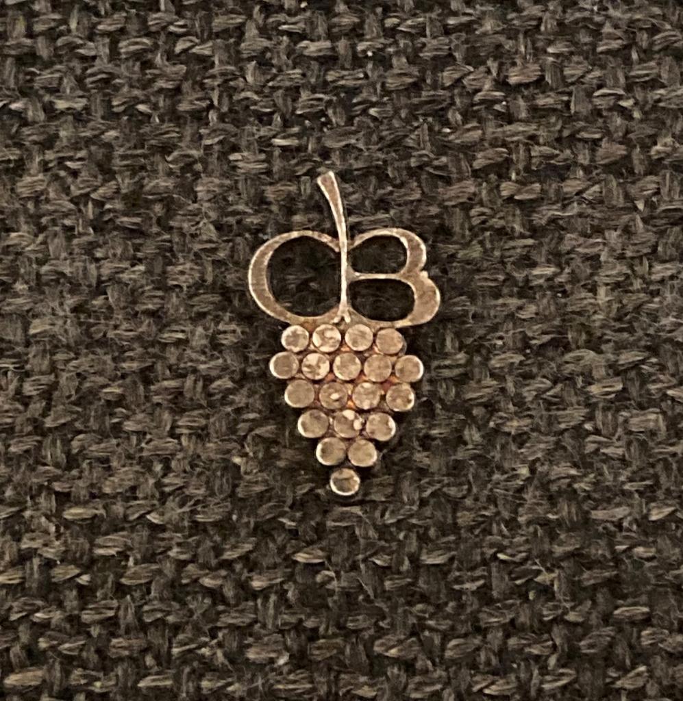 PIN - DRUIVEN - RAISINS - GRAPES, Envoi, Utilisé, Autres sujets/thèmes, Insigne ou Pin's