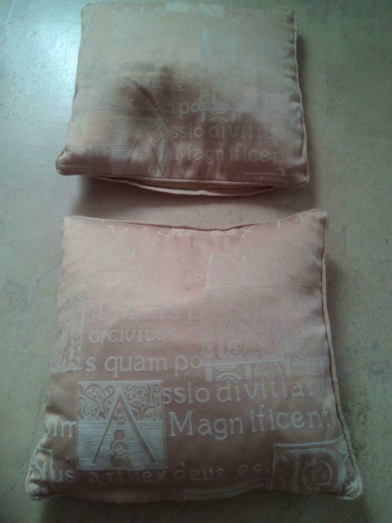 Kussens 2 beige kussens met tekst, dino's, Ophalen of Verzenden, Zo goed als nieuw, Overige kleuren, Overige vormen