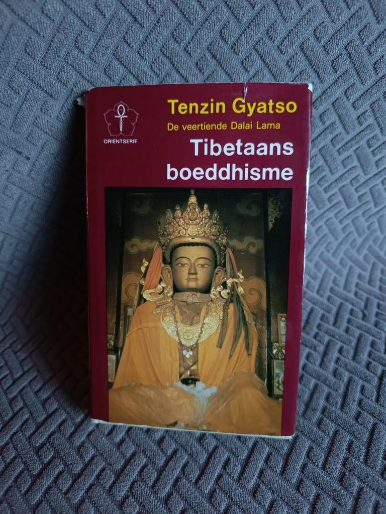 Tenzin Gyatso : Tibetaans boeddhisme, Ophalen of Verzenden