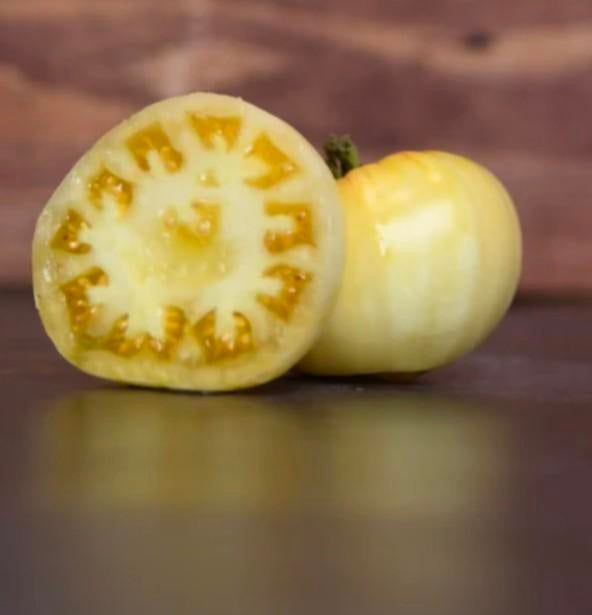 Tomate White Star d'Anvers (5 graines), Enlèvement ou Envoi, Printemps, Plein soleil, Graine