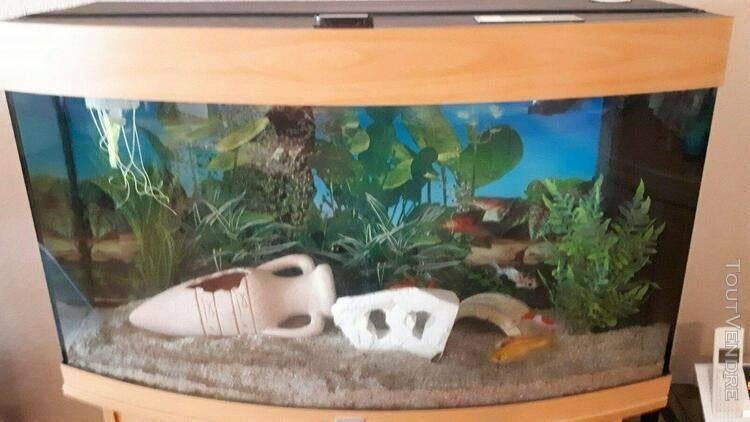 Aquarium de marque Juwel 180L, Enlèvement, Utilisé, Aquarium vide