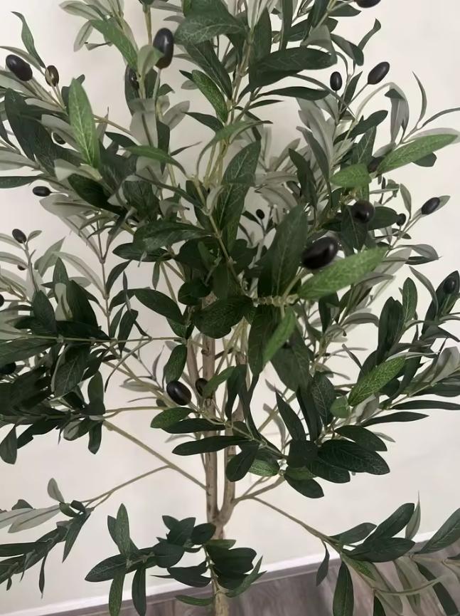 Olivier artificiel 150 cm (155 cm) – Arbre, Envoi, Ne fleurit pas, Olivier, 400 cm ou plus